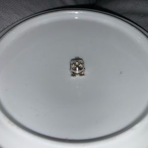 Frog Pandora Charm